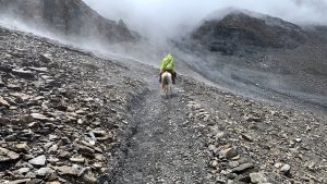 पदयात्रामा जाँदै हुनुहुन्छ? यसरी गर्नुस् तयारी