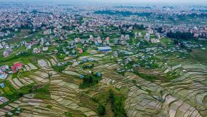 मंसिरमा बढ्यो घरजग्गा कारोबार, राजस्व पनि वृद्धि 